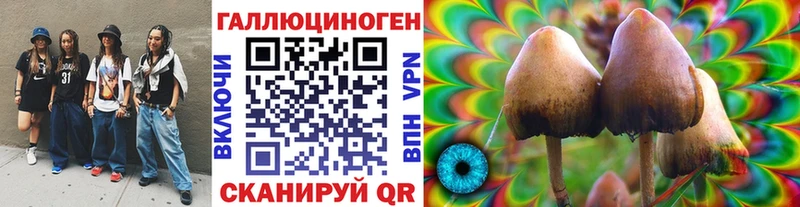 Галлюциногенные грибы ЛСД  хочу   Купино 