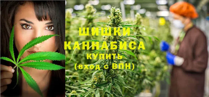 купить закладку  Купино  Каннабис семена 